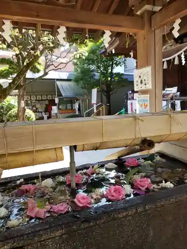鳩森八幡神社の手水舎