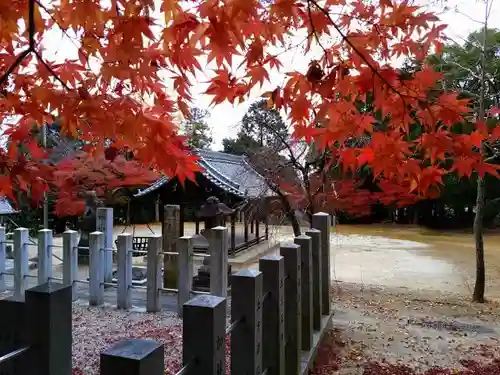 住吉社のその他建物
