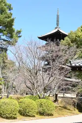 仁和寺のその他建物