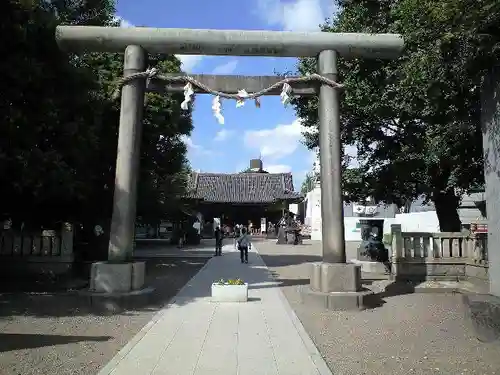 浅草神社の鳥居