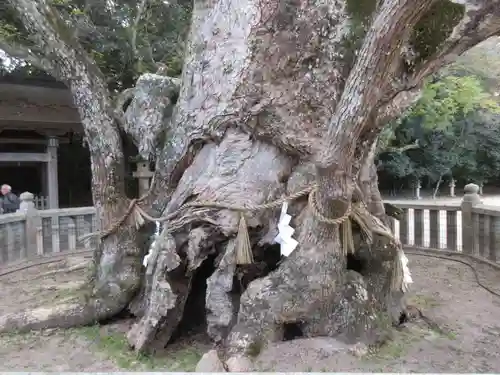 大山祇神社(愛媛県)