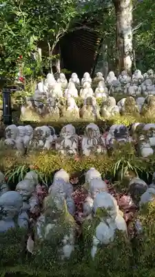 今熊野観音寺(京都府)