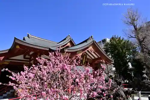 素盞雄神社(東京都)