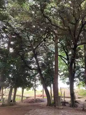 雀神社(茨城県)