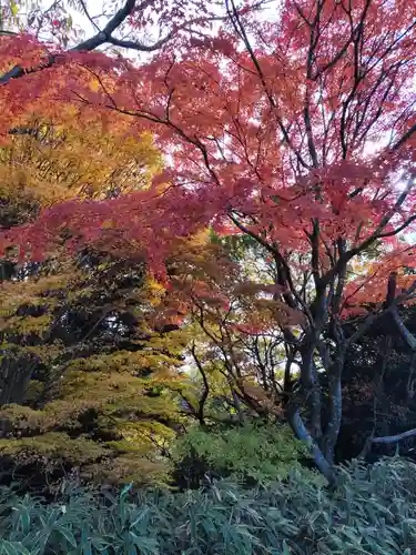 忉利天上寺(兵庫県)