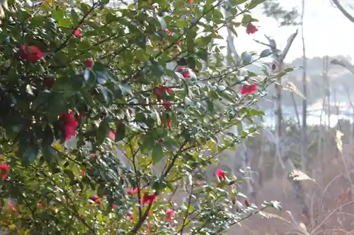 愛宕神社の自然