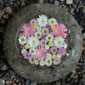 帯廣神社の手水舎(2024年08月04日(日) 10時16分37秒投稿)