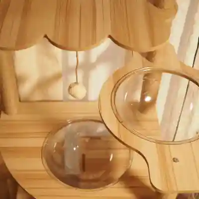 天王山 安楽寺(福井県)