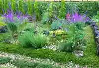 寿量山 速成寺の自然