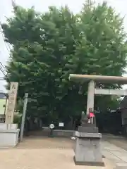 飛木稲荷神社の鳥居