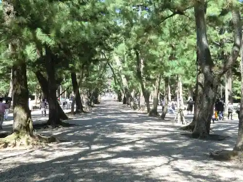 出雲大社(島根県)