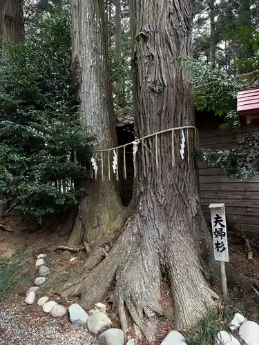 坪沼八幡神社の庭園