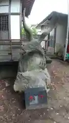 鷲神社の狛犬