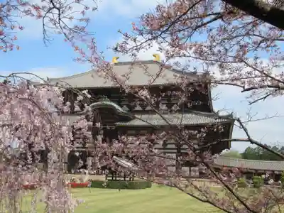 東大寺(奈良県)