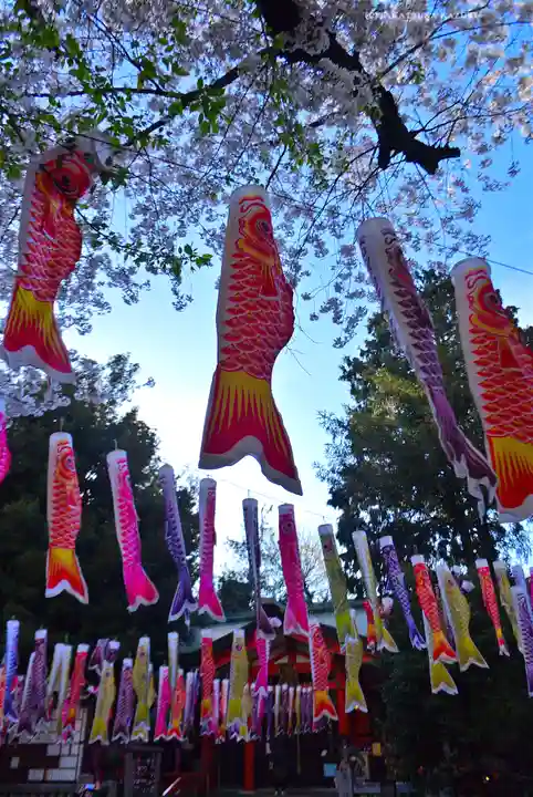 くまくま神社(導きの社 熊野町熊野神社)(東京都)