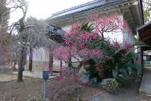 道明寺天満宮の庭園