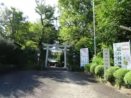 星川杉山神社の鳥居