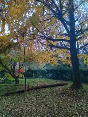 弘仁寺(奈良県)