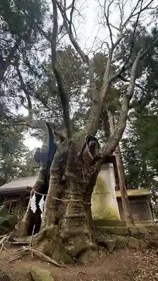 黒沼神社(福島県)