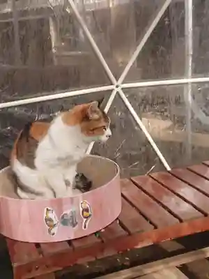 戸越八幡神社(東京都)