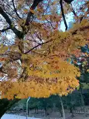 氷室神社の周辺