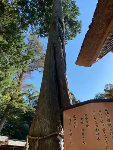 豊受大神社(京都府)
