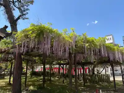 葛井寺(大阪府)