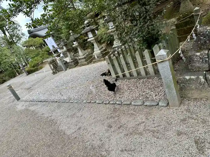 石上神宮(奈良県)