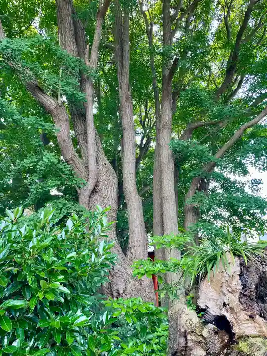 由比若宮(元鶴岡八幡宮)(神奈川県)