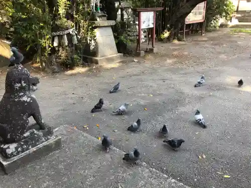 沖野八幡神社の{uncategorized: "未分類", other: "その他", undefined: "問題あり", building: "その他建物", grave: "お墓", sacred_gate: "鳥居", guardian: "狛犬", statue: "像", buddha: "仏像", history: "歴史", nature: "自然", garden: "庭園", animal: "動物", pagoda: "塔", temizu: "手水舎", mountain_gate: "山門・神門", sanctuary: "本殿・本堂", subordinate: "末社・摂社", art: "芸術", scenery: "景色", jizo: "地蔵", ema: "絵馬", goshuin: "御朱印", omikuji: "おみくじ", items: "授与品その他", amulet: "お守り", goshuincho: "御朱印帳", eats: "食事", festival: "お祭り", votive_dance: "神楽", shichigosan: "七五三参", wedding: "結婚式", experience: "体験その他", initially: "初詣", around: "周辺", anti_infection: "感染症対策"}