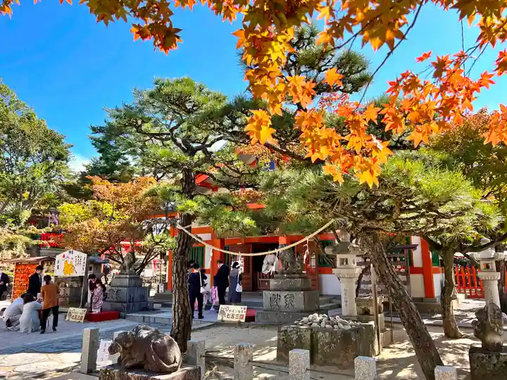 紅葉八幡宮(福岡県)