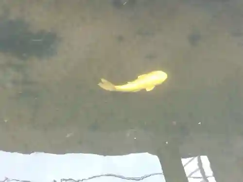 松原神社(福井県)