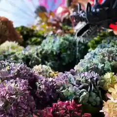 札幌諏訪神社の手水