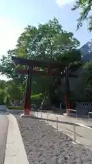 東郷神社の鳥居