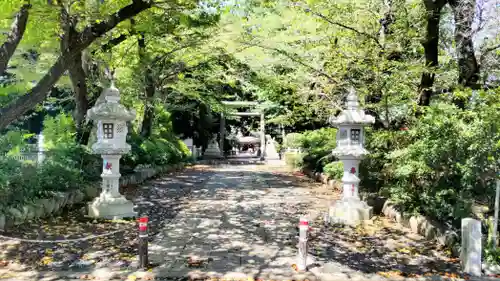 前鳥神社(神奈川県)
