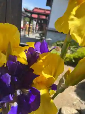 大鏑神社(福島県)