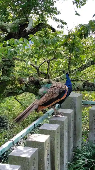 楽法寺(雨引観音)(茨城県)