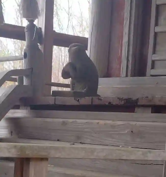 日吉神社(平沢)(宮城県)