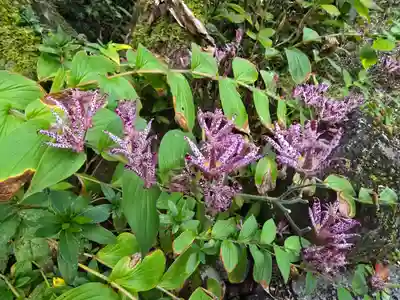 玄賓庵(奈良県)