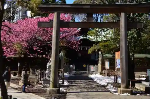 荏原神社の鳥居