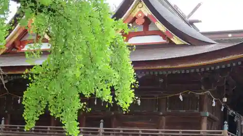 吉備津神社の本殿・本堂