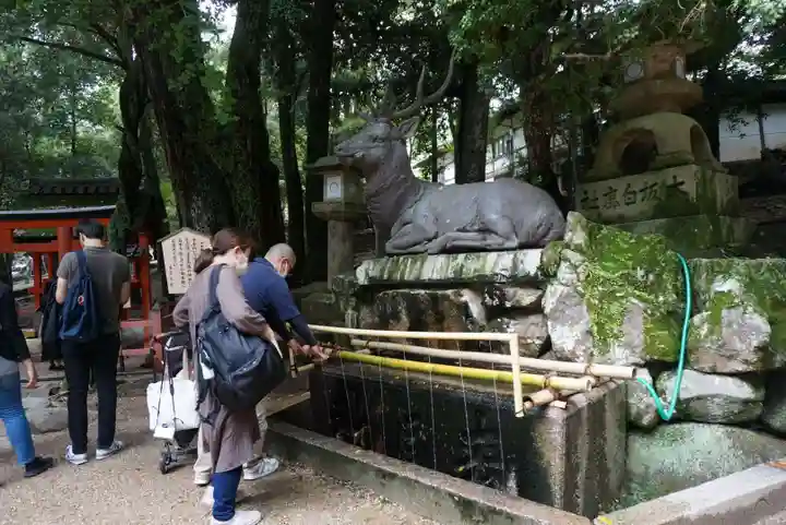春日大社の手水舎