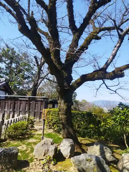 大谷祖廟(京都府)