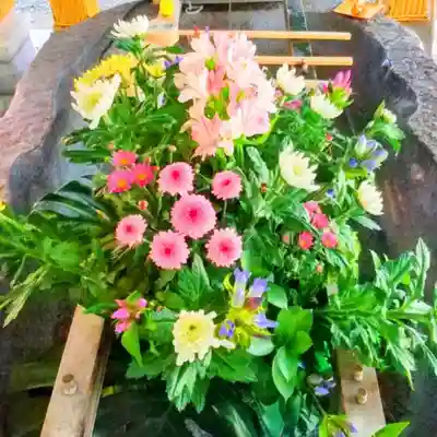 彌彦神社　(伊夜日子神社)の手水舎