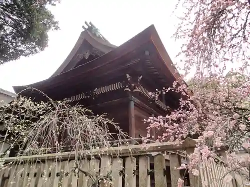 道明寺天満宮の本殿