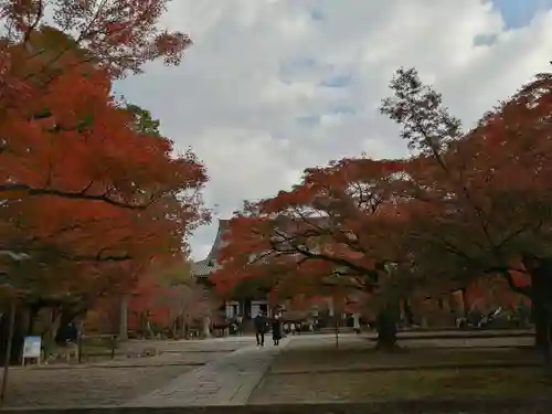 真正極楽寺（真如堂）の景色