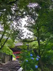 楽法寺（雨引観音）の建物その他