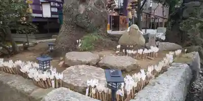 高木神社のおみくじ