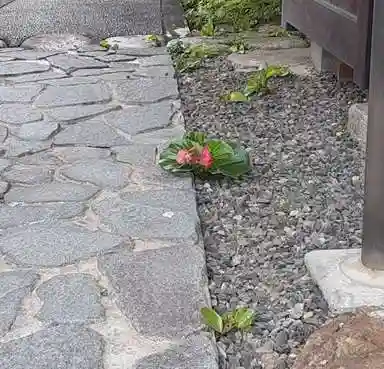 西方山極楽寺の自然