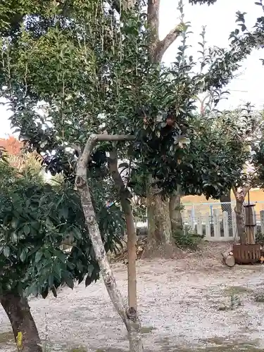 御嶽神社（林島町）の自然